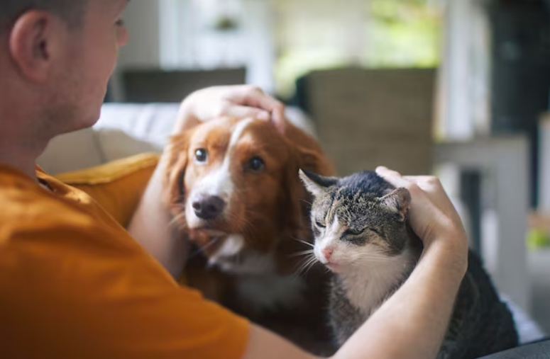 Burnley at-home pet put-to-sleep