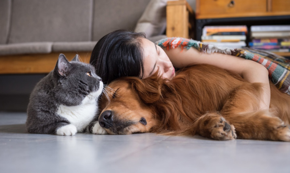 Blackburn At-Home Pet Put To Sleep